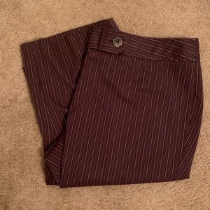 Plus Size Dress Pants